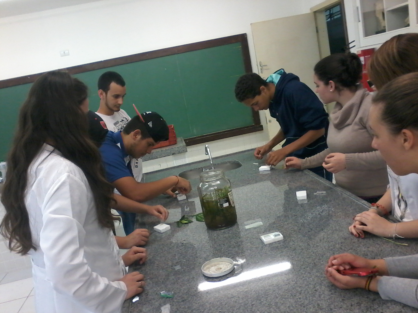 Preparo_de_l_mina_de_elodea__7_